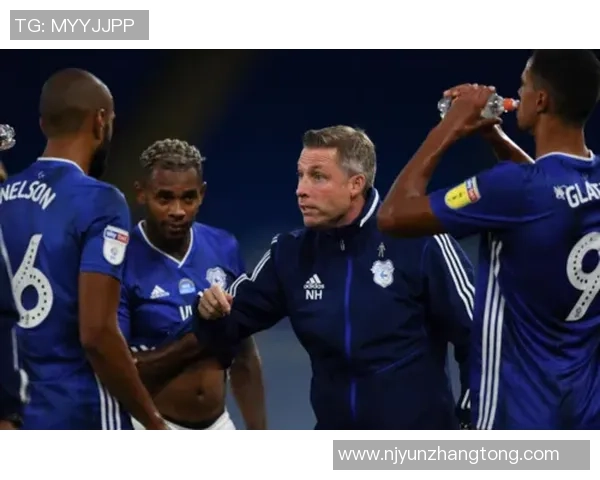 卡迪夫城与富勒姆对决比分预测分析及赛前展望